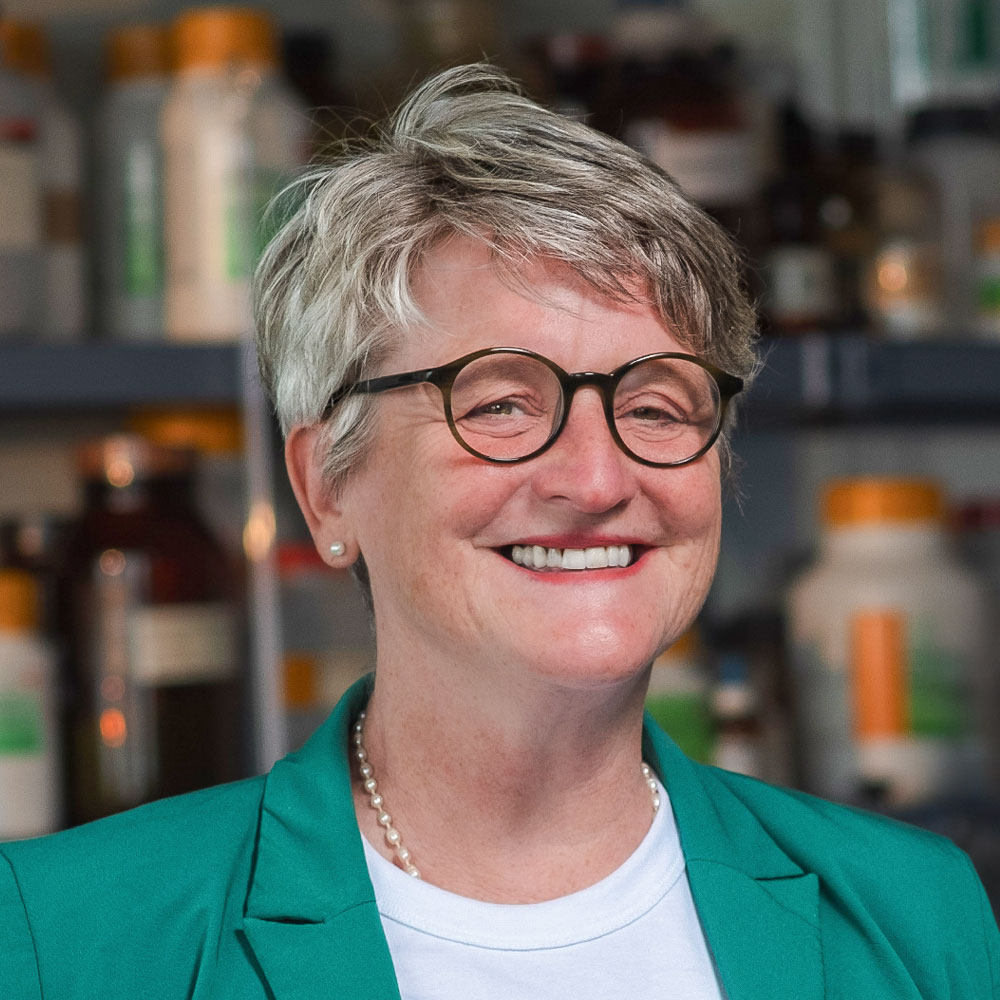 Dr. Kerstin Schmidt Leiterin TransferWerkstatt, Promovierte Chemikerin